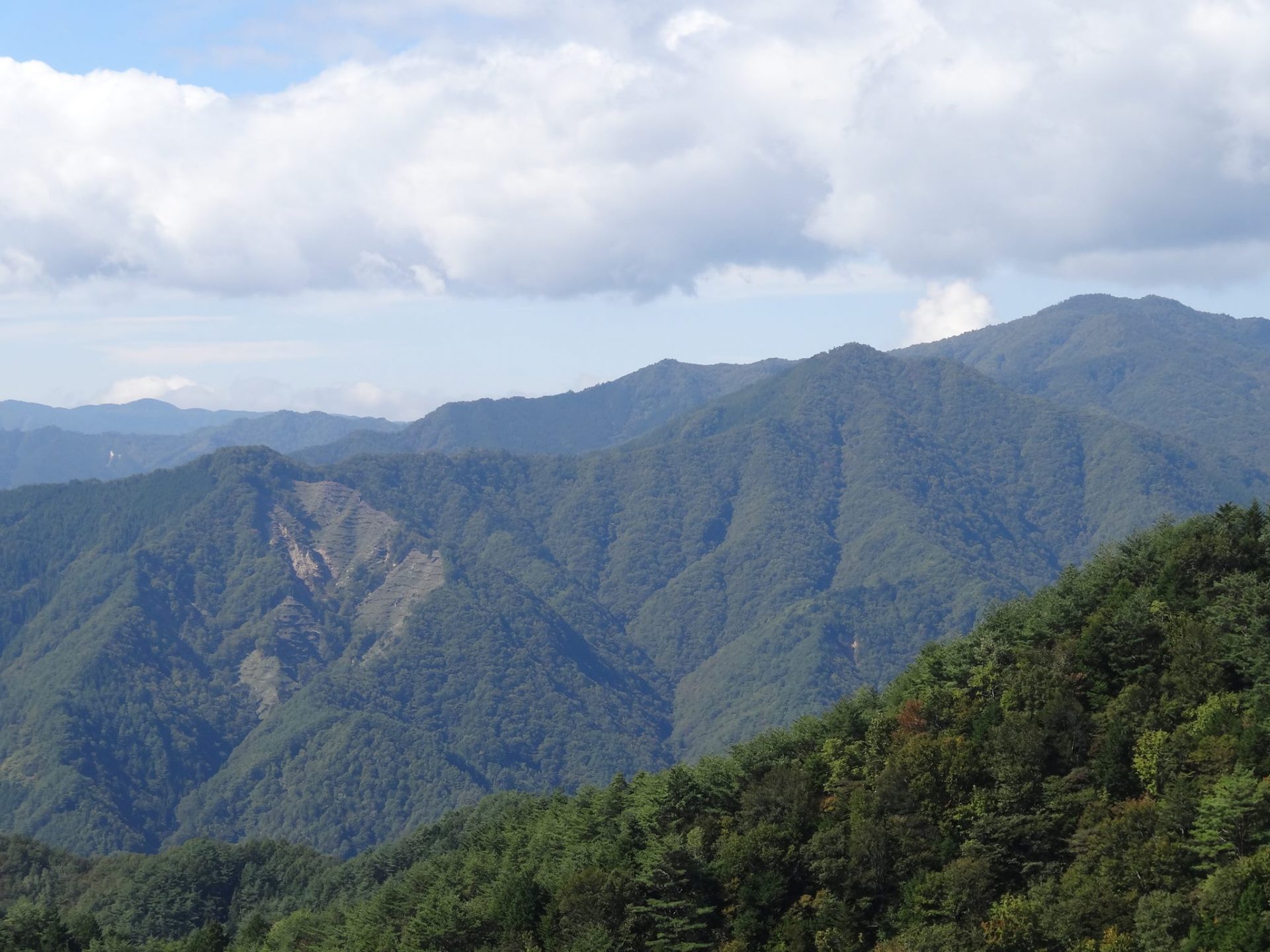 サービス背景